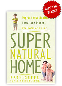 Super Natural Home: Improve Your Health, Home and Planet — One Room at a Time by Beth Greer